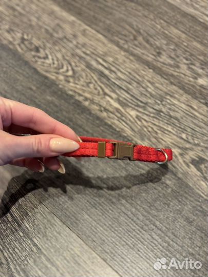 Новый ошейник для собаки - S