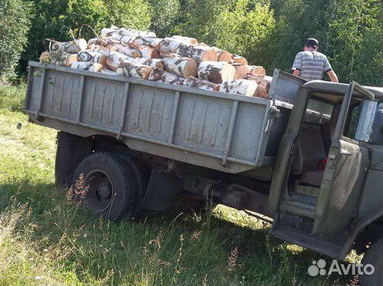 Дрова берёза