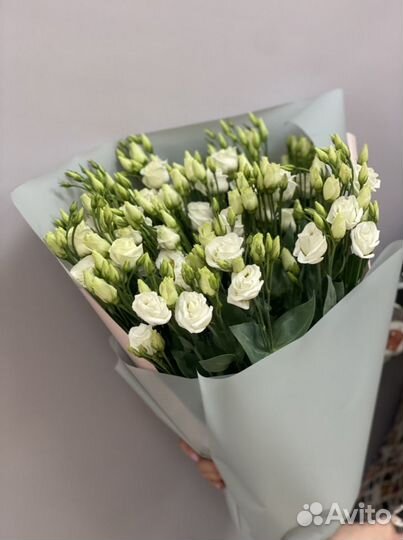 Эустома, розы оптом, цветы оптом, экзотика