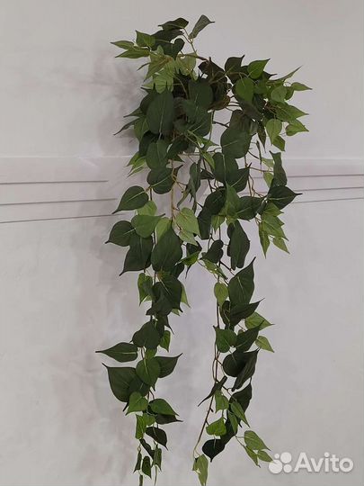 Искусственные растения