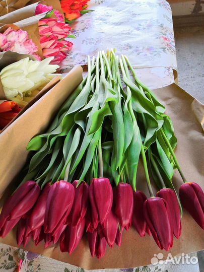 Тюльпаны к 8 марта оптом