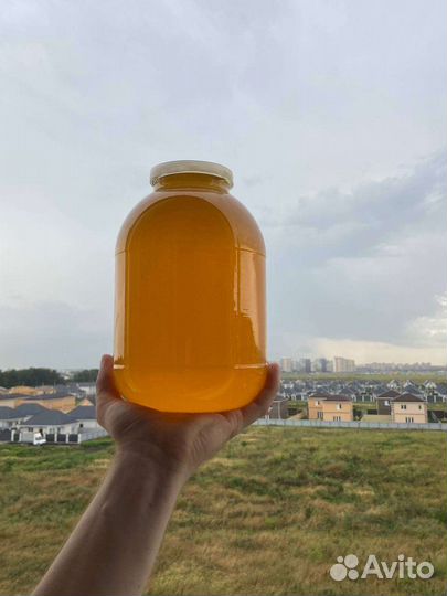 Мёд майский (акация)