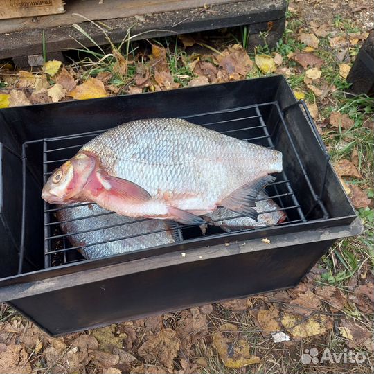 Коптильня горячего копчения