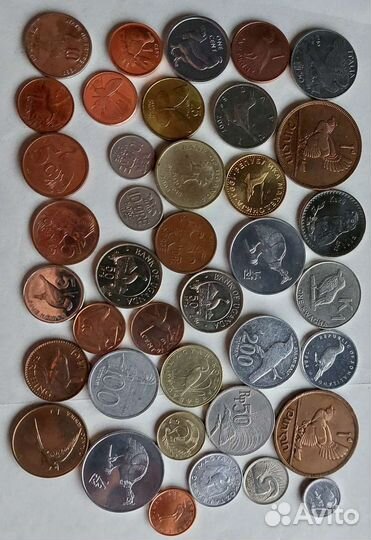 Птицы, монеты