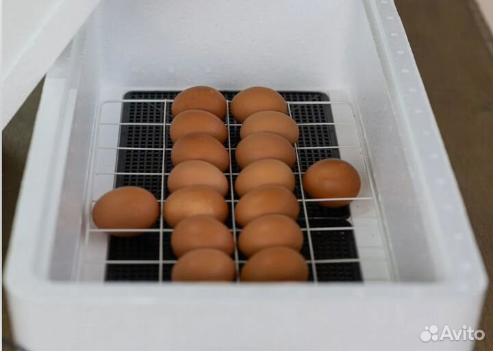 Инкубатор Несушка 36 яиц №70