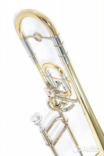 Детский тромбон Roy Benson TT-220