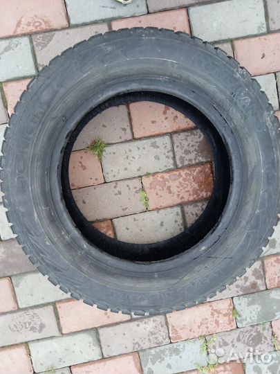 Nokian Tyres Nordman 5 195/65 R15