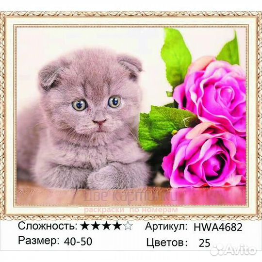 Алмазная мозаика 40x50 Шотландский котёнок и розы