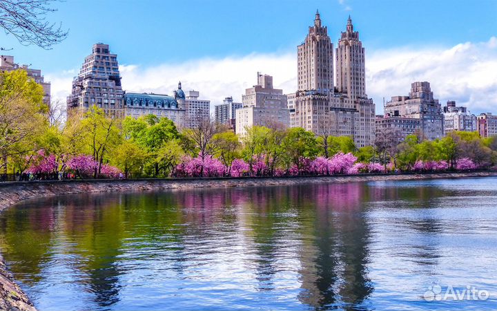 Английский с носителем