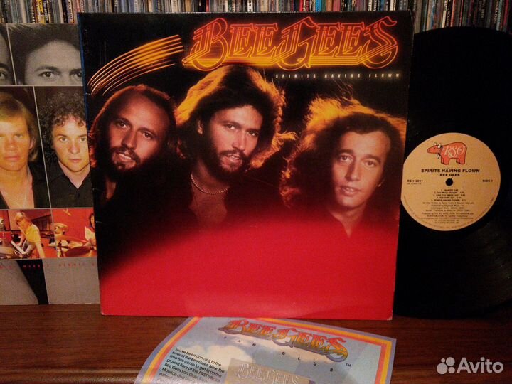 Lp vinill alan parsons project