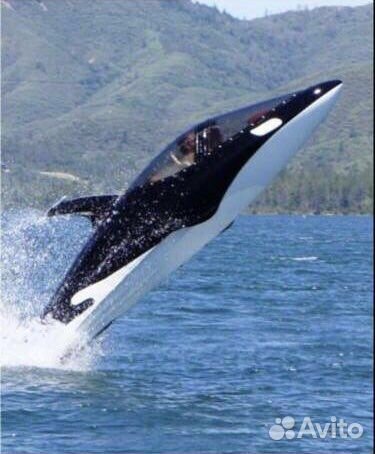 Seabreacher X