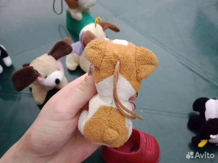 Собака в ботинке из Макдональдса