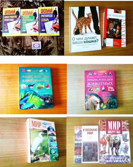 Книги,Энциклопедии,словари, раскраски и др