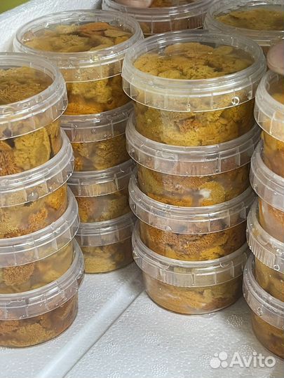 Икра Морского Ежа 0.50гр.Акустическая заморозка