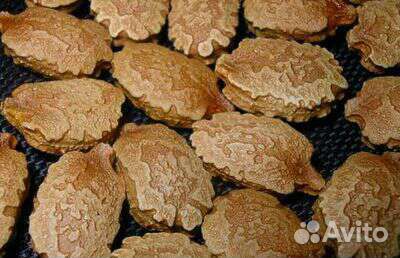 Семена момордики