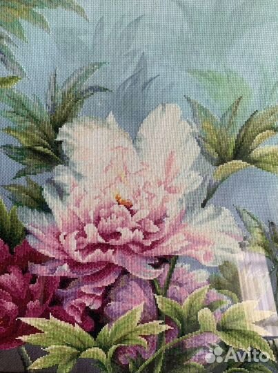 Пионы - символ долгой супружеской жизни