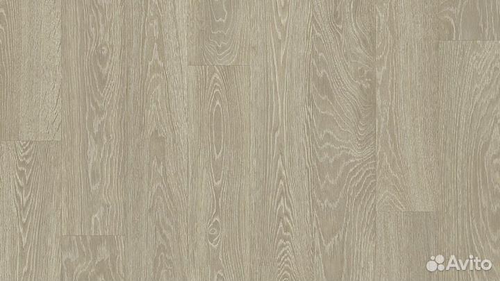 Линолеум Tarkett junior - tompson 1