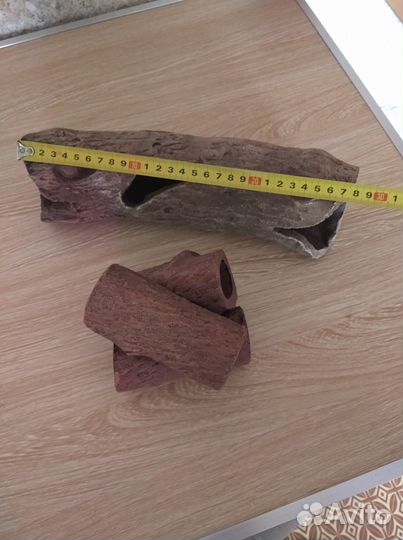 Обмен на улиток ампулярий