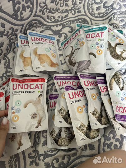 Влажный корм для кошек