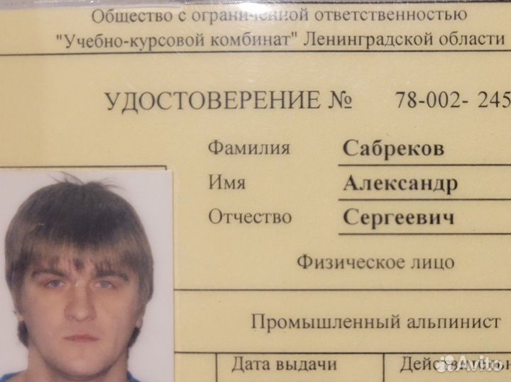 Спил деревьев