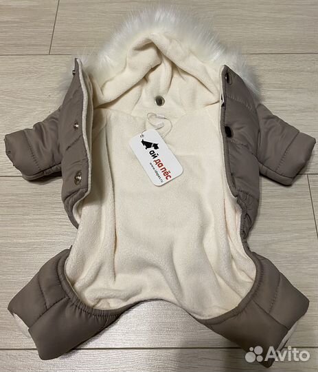 Одежда для собак мелких пород