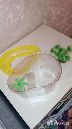 Террариум для рептилий, маленький