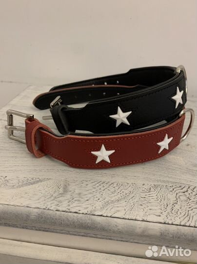 Ошейник для собак Hunter