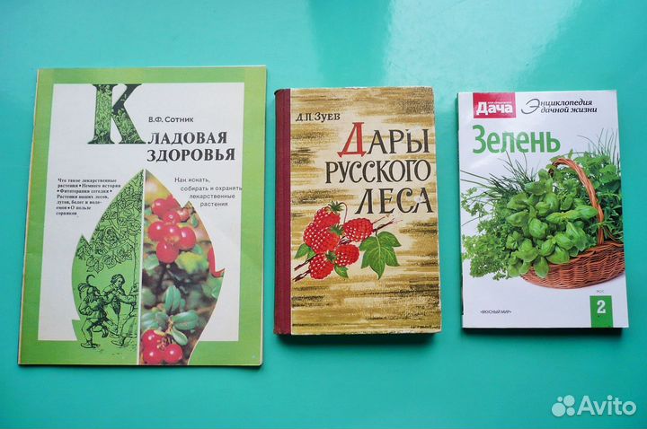 Дары Русского Леса