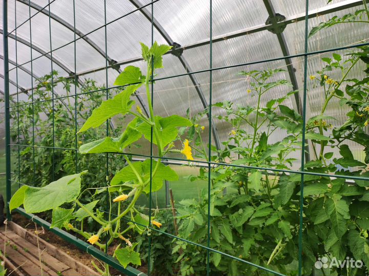 Шпалера металлическая