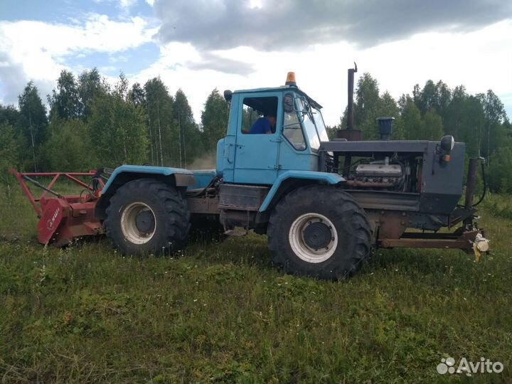 Расчистка участка, мульчирование