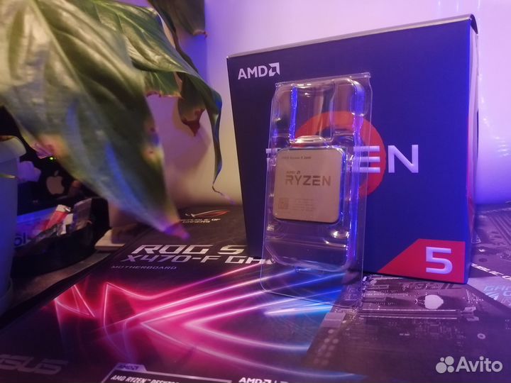 Ryzen R5 2600