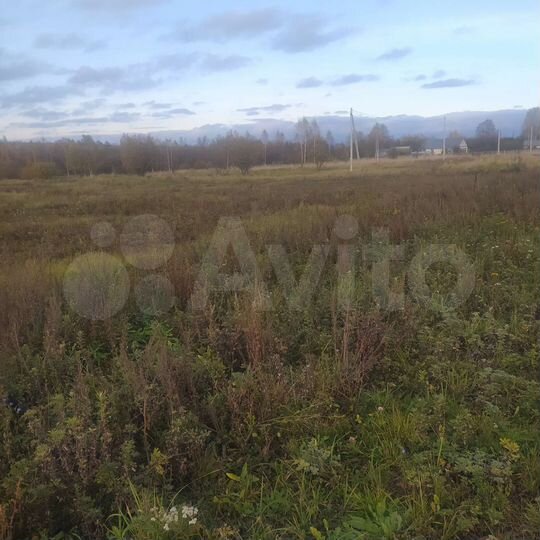 Участок 100 сот. (ИЖС)