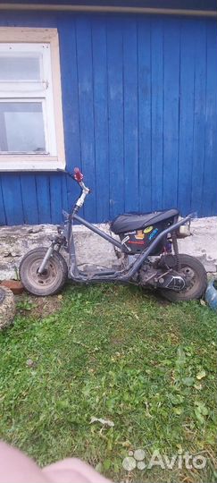 Хонда дио 35 zx