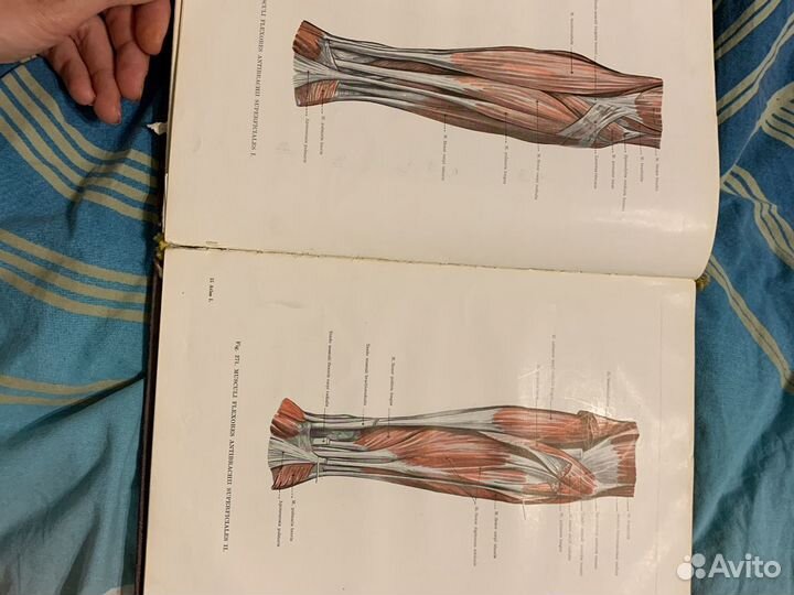 Анатомический атлас человеческого тела 1959 года