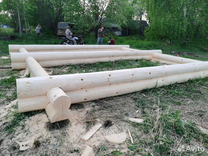 Сруб дома из бревна