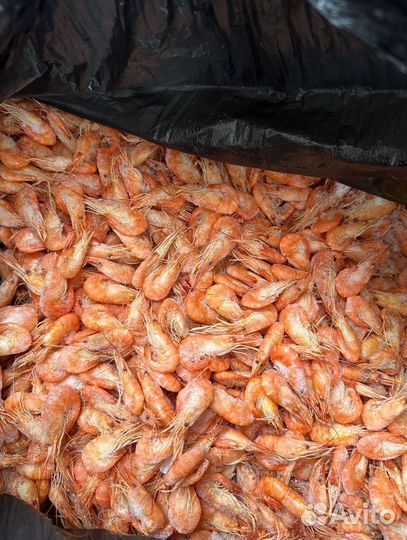 Креветка маленькая, сочная