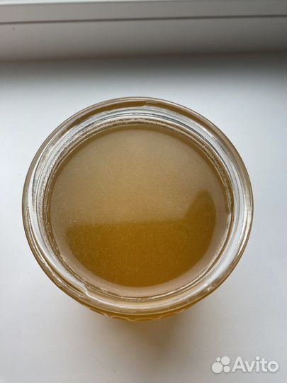 Мед липовый башкирский