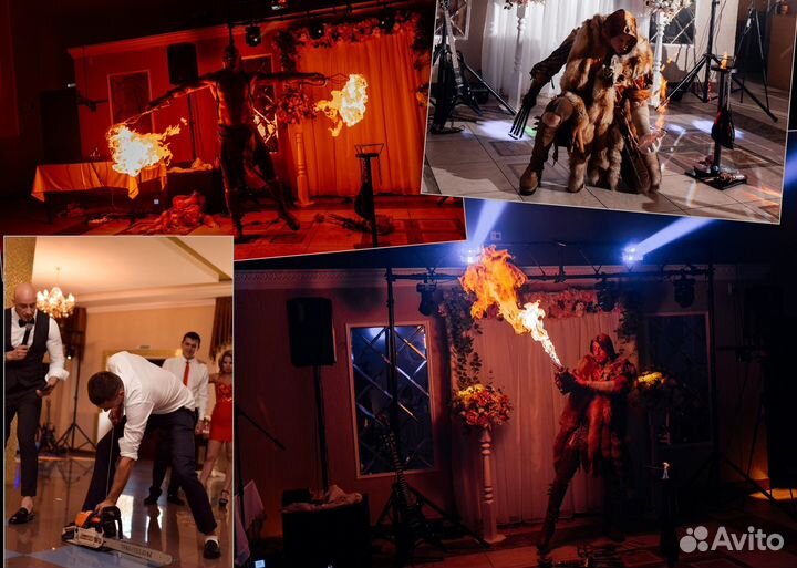 Ведущий Диджей Шоу-программа