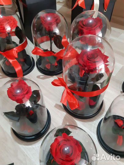 Роза в колбе. Подарок