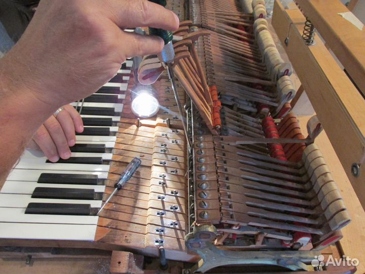 Профессиональная настройка пианино и роялей