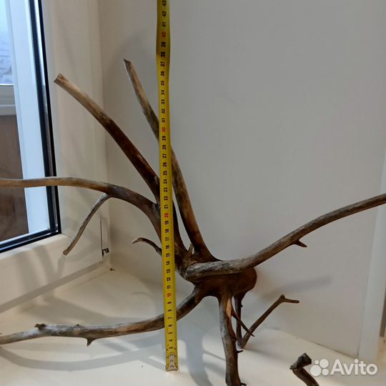 Коряга для аквариума, террариума, декора