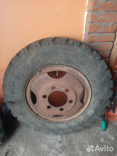 Aim-One E3/L3 21/50 R24