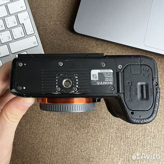 Sony a7s2/a7sii