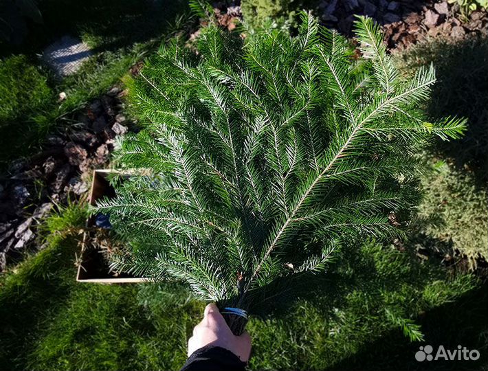 Подарочный набор 