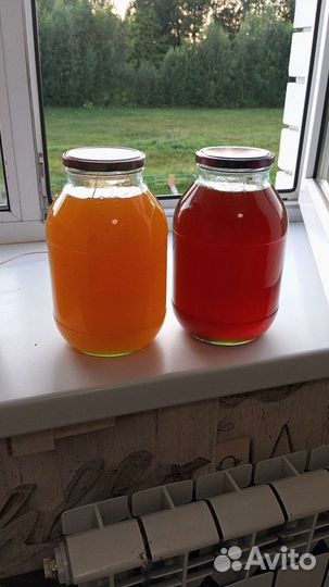 Мед из башкирии