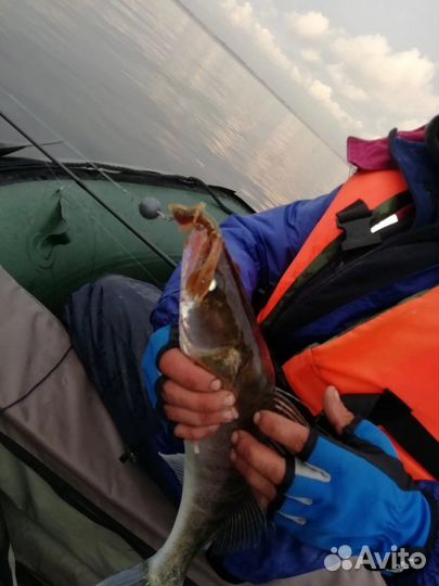 Форма приманки