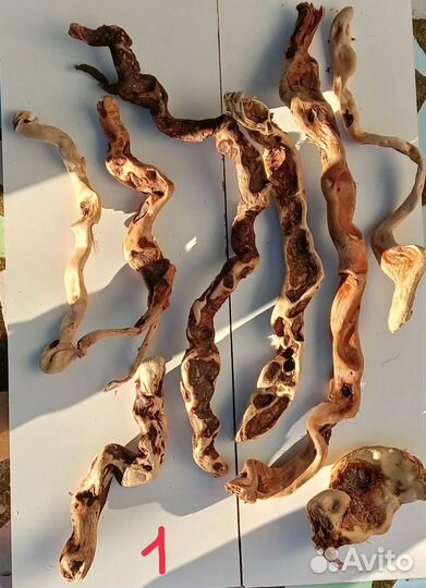 Коряги дрифтвуд