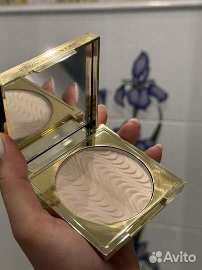 Пудра Revolution Pro CC Perfecting