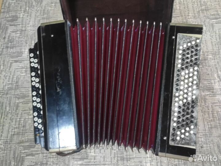 Баян тульский