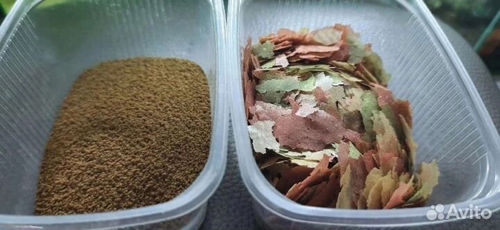 Корм для рыб